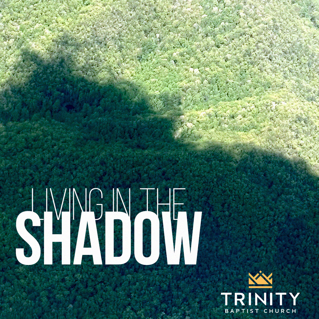 Living in the Shadow episode artwork