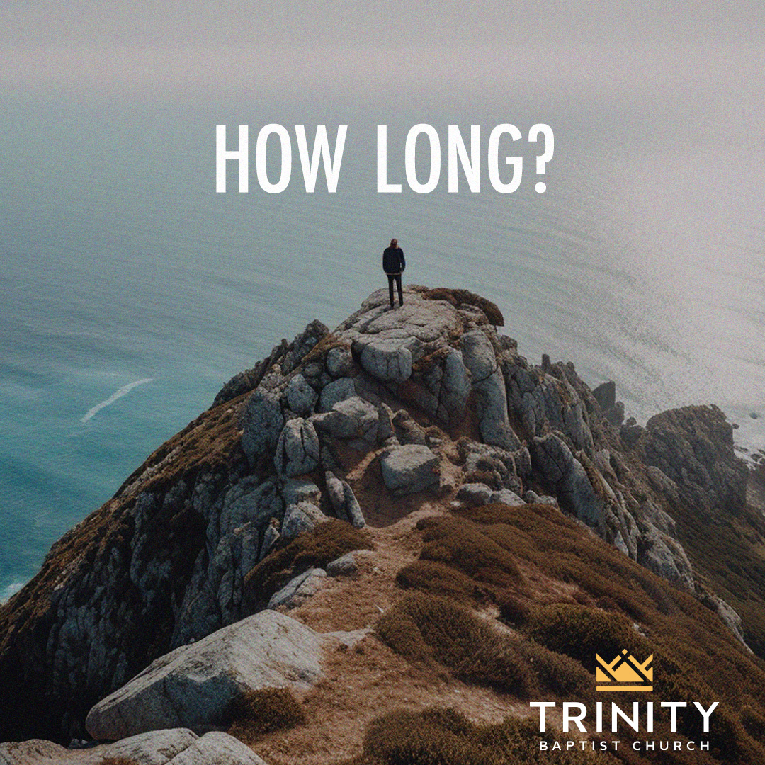 How Long? episode artwork