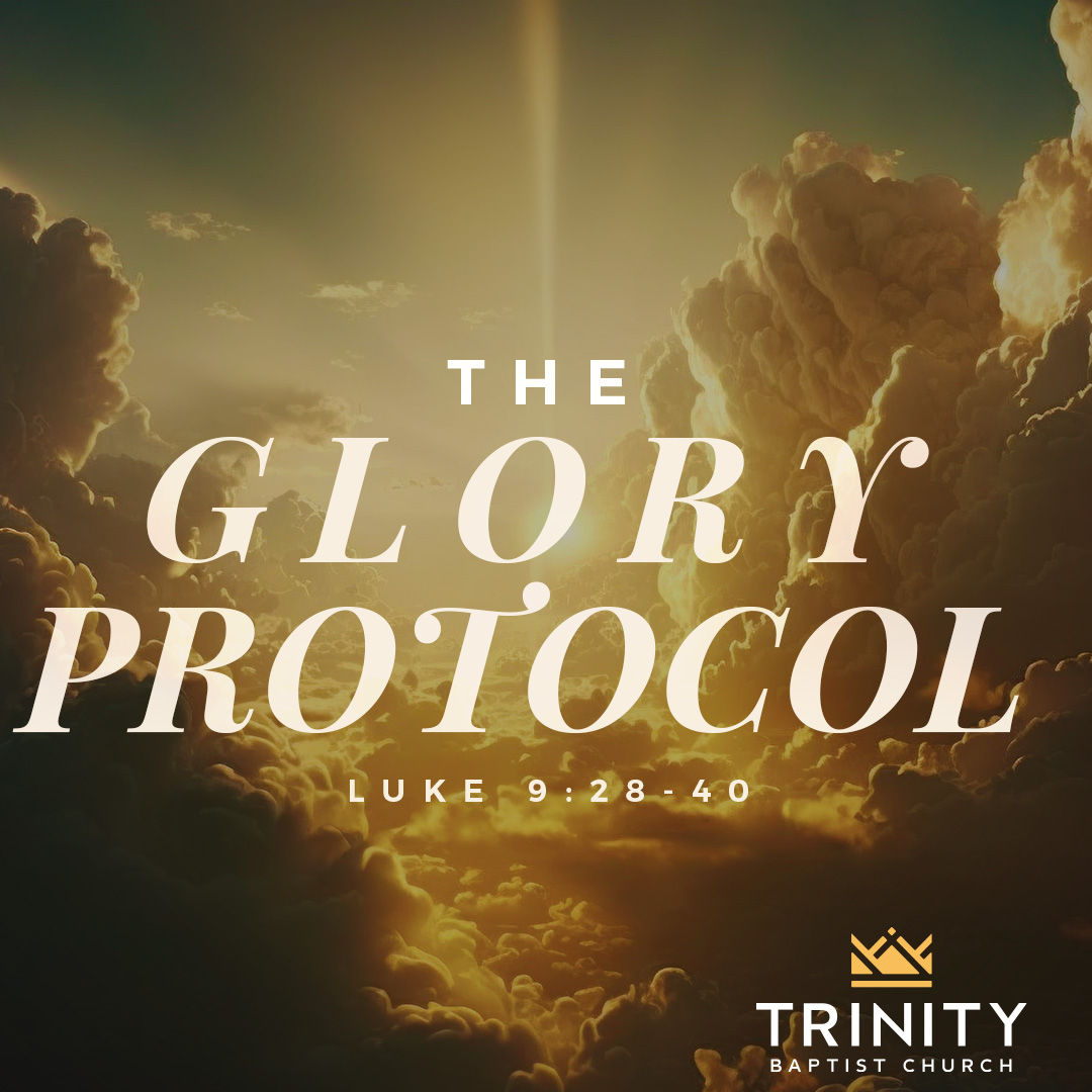 The Glory Protocol episode artwork